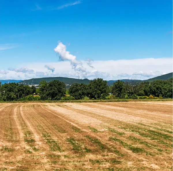 Propriétaire foncier